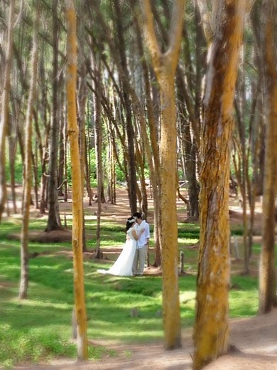 Ceremony Location Waimanalo Beach Hawaii Oahu Weddings